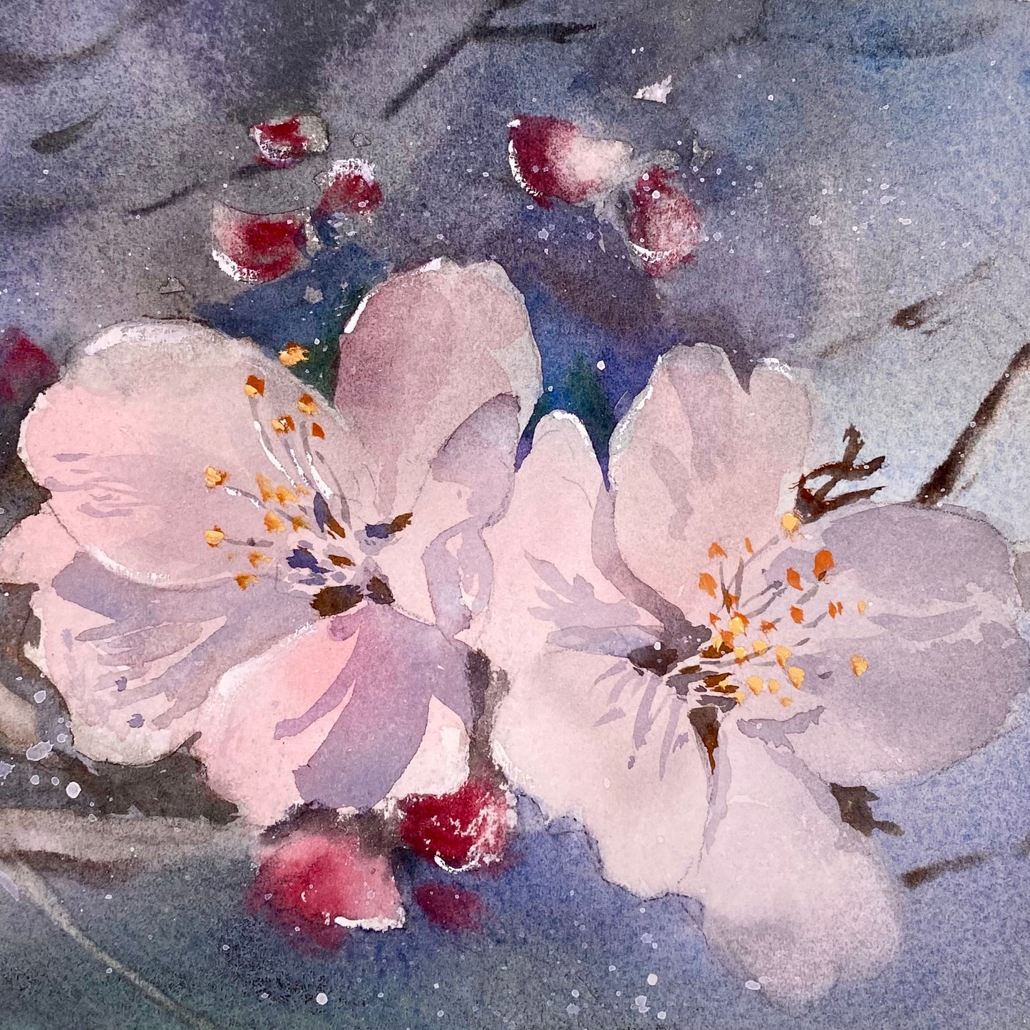 Apfelblüten (20x20cm)