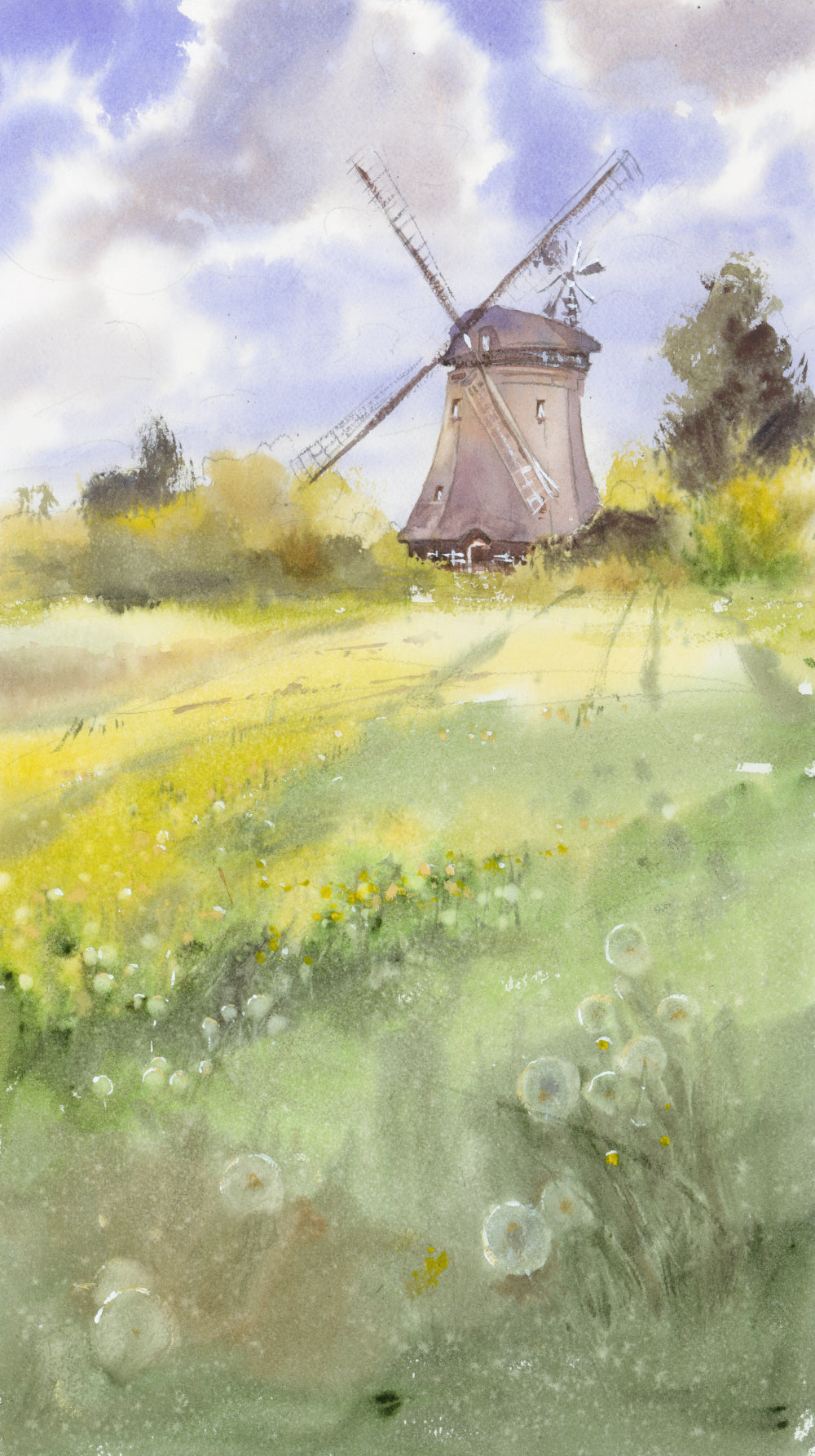 Oldsumer Mühle (40x60cm)