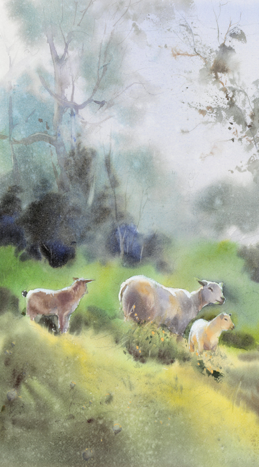 Drei Schafe (40x60cm)